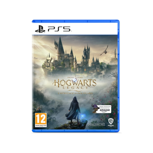 HOGWARTS LEGACY - L'HERITAGE DE POUDLARD